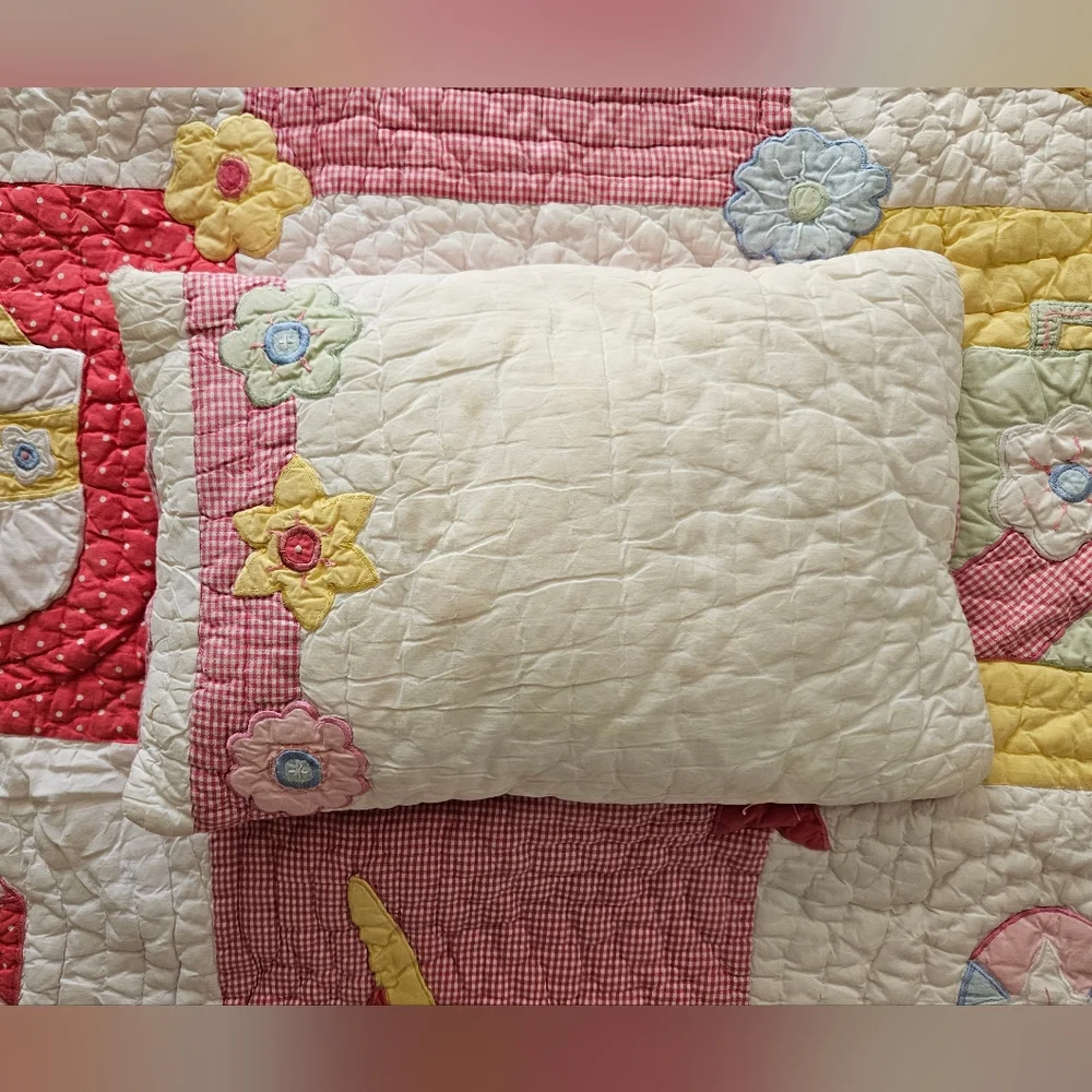 Pottery Barn Kids Girl's Patchwork Quilt 66×82 Twin Size Blanket & Pillow Set
